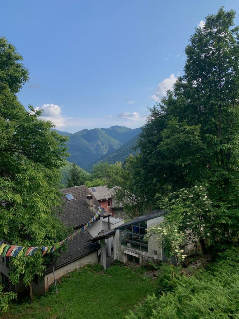 Secret Mountain Retreat Valle Cannobina Orasso Exteriör bild